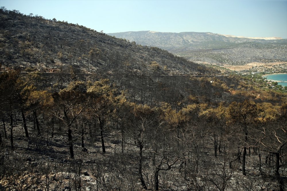 "Genel Hayata Etkili Afet Bölgesi" İlan Edilen Silifke Ve Aydıncık'ta, Yaraları Devlet Saracak