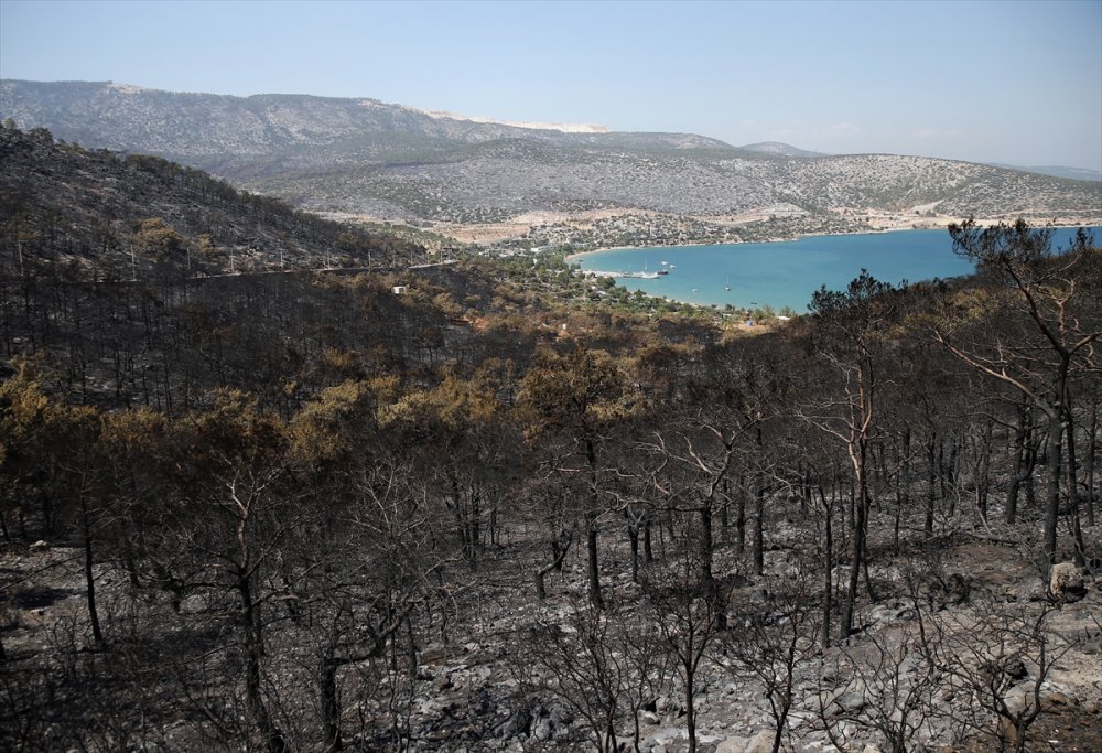 "Genel Hayata Etkili Afet Bölgesi" İlan Edilen Silifke Ve Aydıncık'ta, Yaraları Devlet Saracak