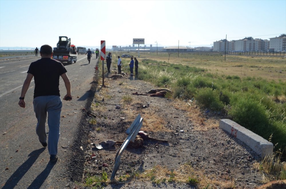 Aksaray'da Otomobil Koyun Sürüsüne Çarptı