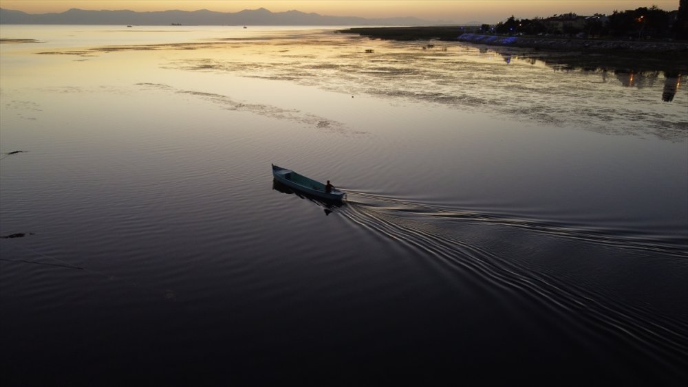 Konya'daki Göl Ve Göletlere 1 Milyon Yavru Sazan Balığı Bırakıldı