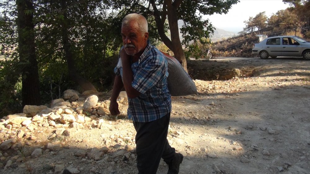 Mersin'de Yangın Bölgesindeki Hayvanlara Yem Desteği