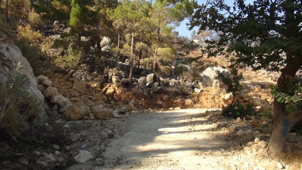 Mersin'de Yangın Bölgesindeki Hayvanlara Yem Desteği