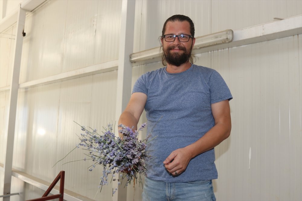 Boğaziçi Üniversitesi Mezunu Mühendis, Köyünde Kurduğu Tesiste Lavanta Ve Lavanta Yağı Üretiyor