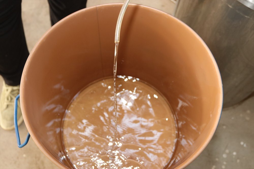 Boğaziçi Üniversitesi Mezunu Mühendis, Köyünde Kurduğu Tesiste Lavanta Ve Lavanta Yağı Üretiyor