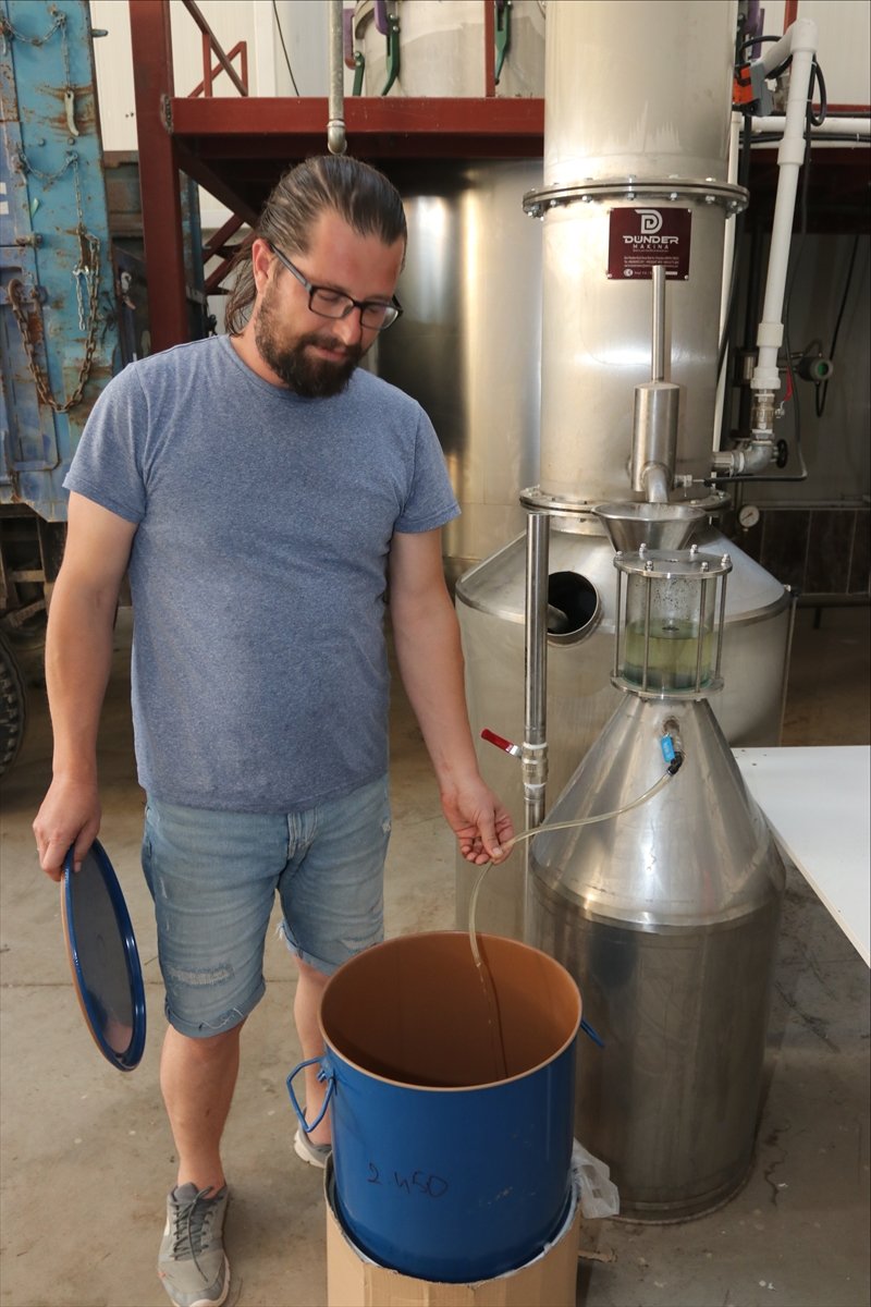 Boğaziçi Üniversitesi Mezunu Mühendis, Köyünde Kurduğu Tesiste Lavanta Ve Lavanta Yağı Üretiyor