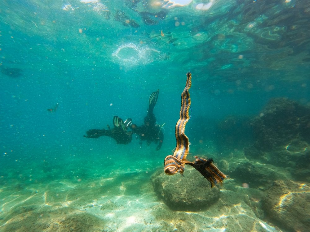 Doğu Akdeniz'de Dalış Yapan Gönüllüler, Su Altını Hayalet Ağlar Ve Çeşitli Atıklardan Arındırıyor