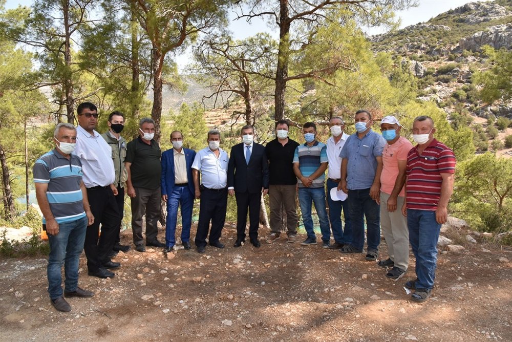 Karaman'da 840 Sülün Doğaya Bırakıldı