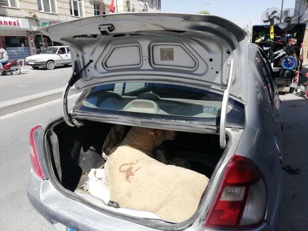 Otomobilin Bagajında Havasız Kalan Küçükbaşı Vatandaşlar Kurtardı