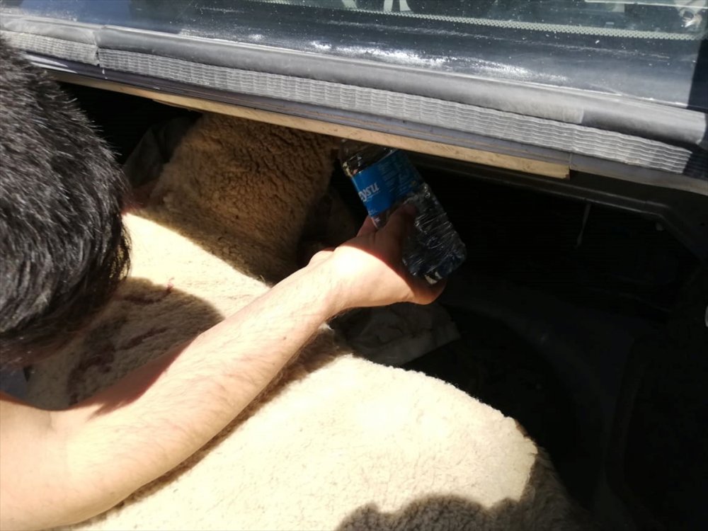 Otomobilin Bagajında Havasız Kalan Küçükbaşı Vatandaşlar Kurtardı