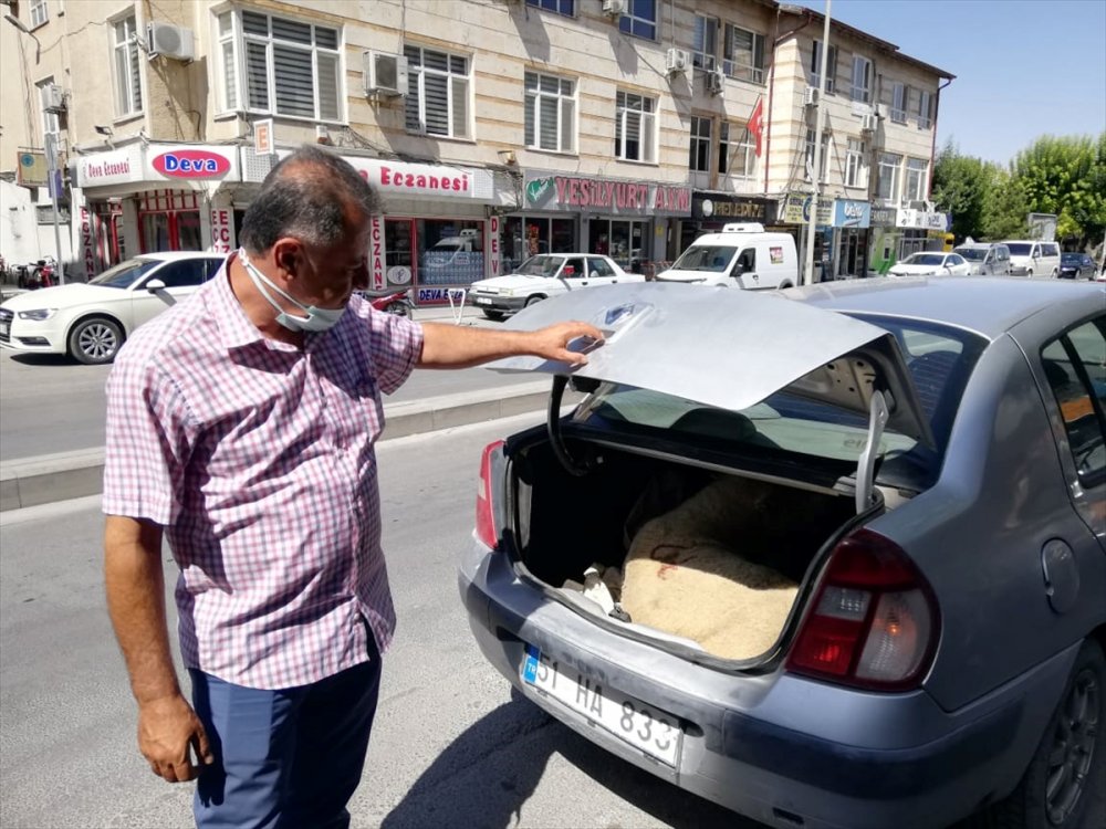 Otomobilin Bagajında Havasız Kalan Küçükbaşı Vatandaşlar Kurtardı