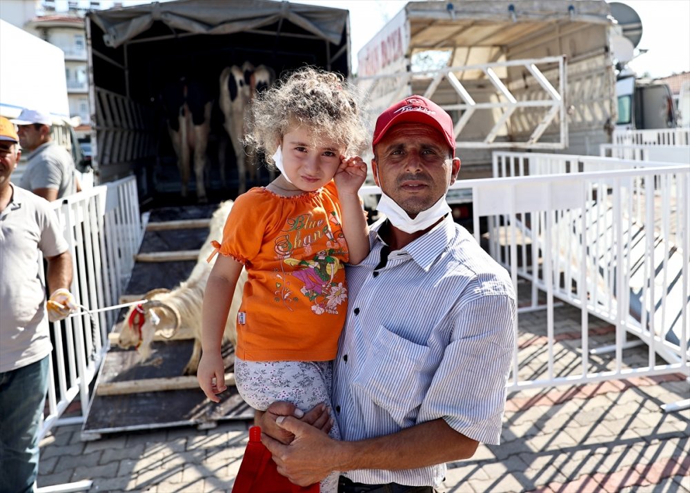 MHP'den Manavgat'ta Küçükbaş Ve Büyükbaş Hayvan Dağıtımı