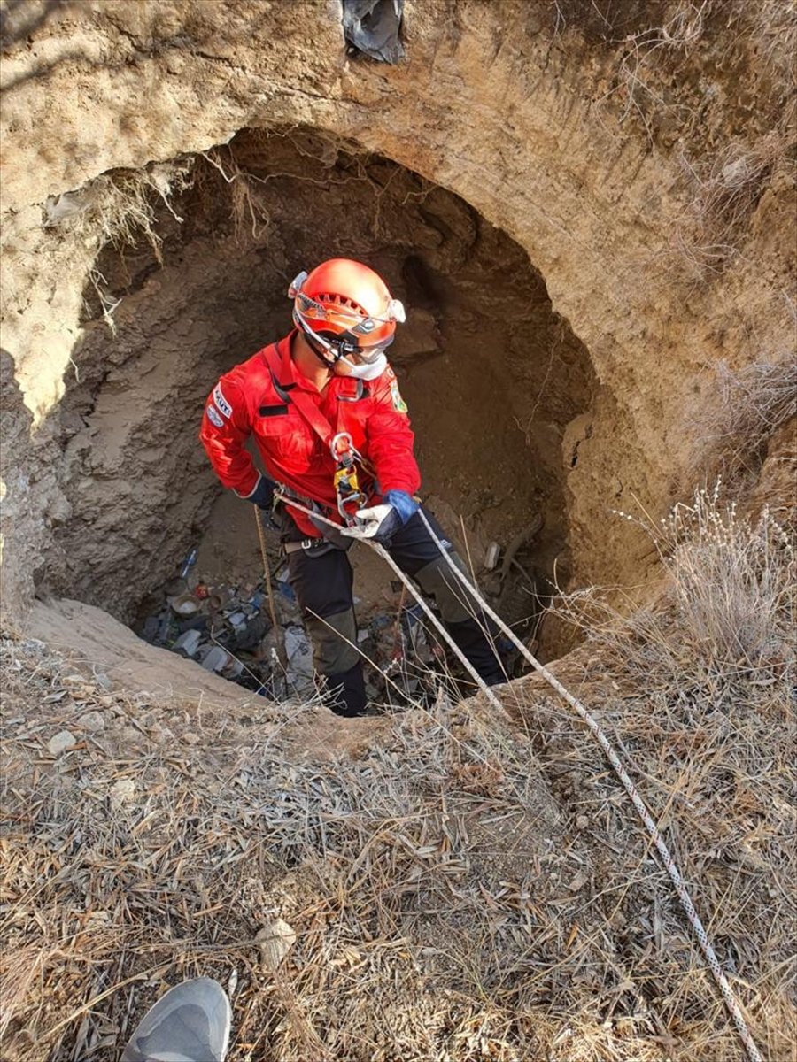 Akut Ekipleri, Kaş'ta Kuyuya Düşen Domuz Yavrusunu Kurtardı
