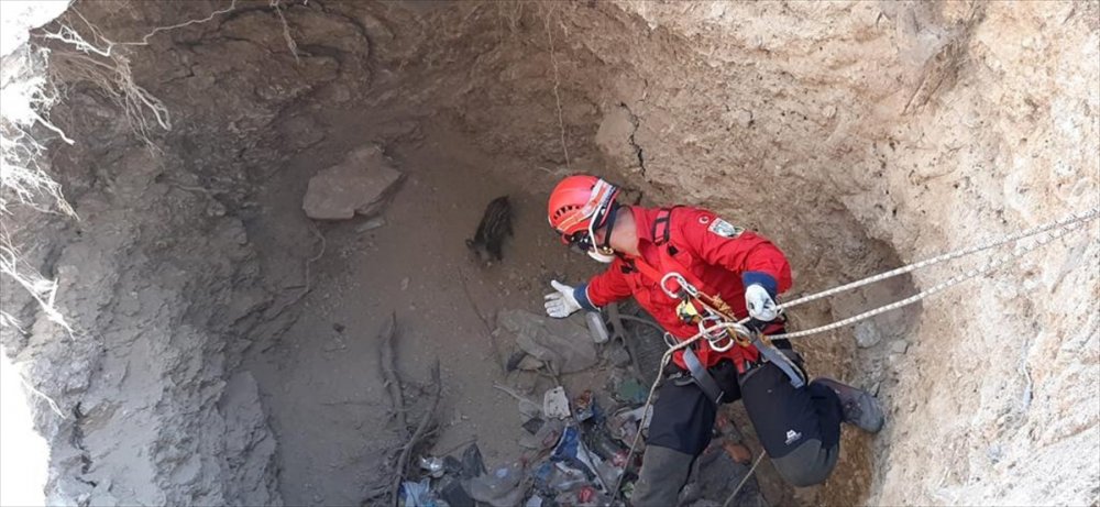 Akut Ekipleri, Kaş'ta Kuyuya Düşen Domuz Yavrusunu Kurtardı