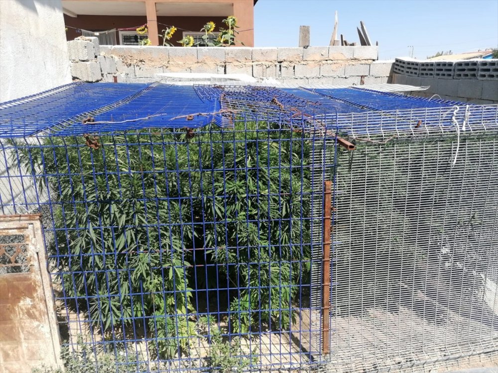 Konya'da Uyuşturucu Operasyonlarında 20 Şüpheli Gözaltına Alındı