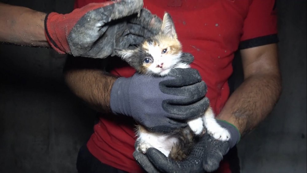 Mersin'de Kanalizasyon Borusunda Sıkışan Kedi Yavrusunu İtfaiye Kurtardı