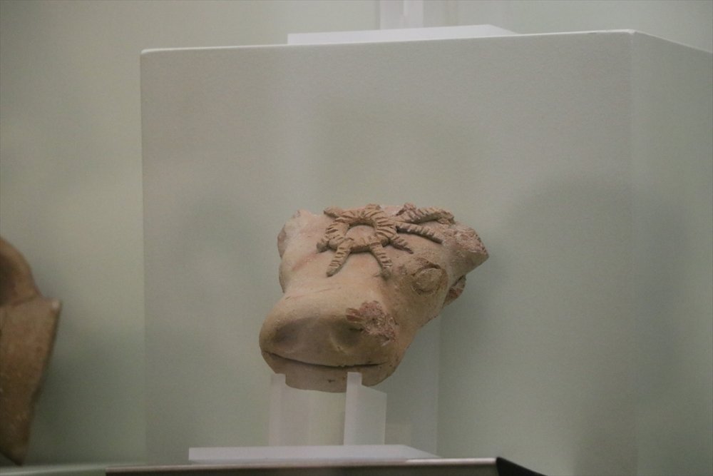 Niğde'de 4 Höyükten Çıkarılan Tarihi Eserler Müzede Sergilenmeye Başlandı