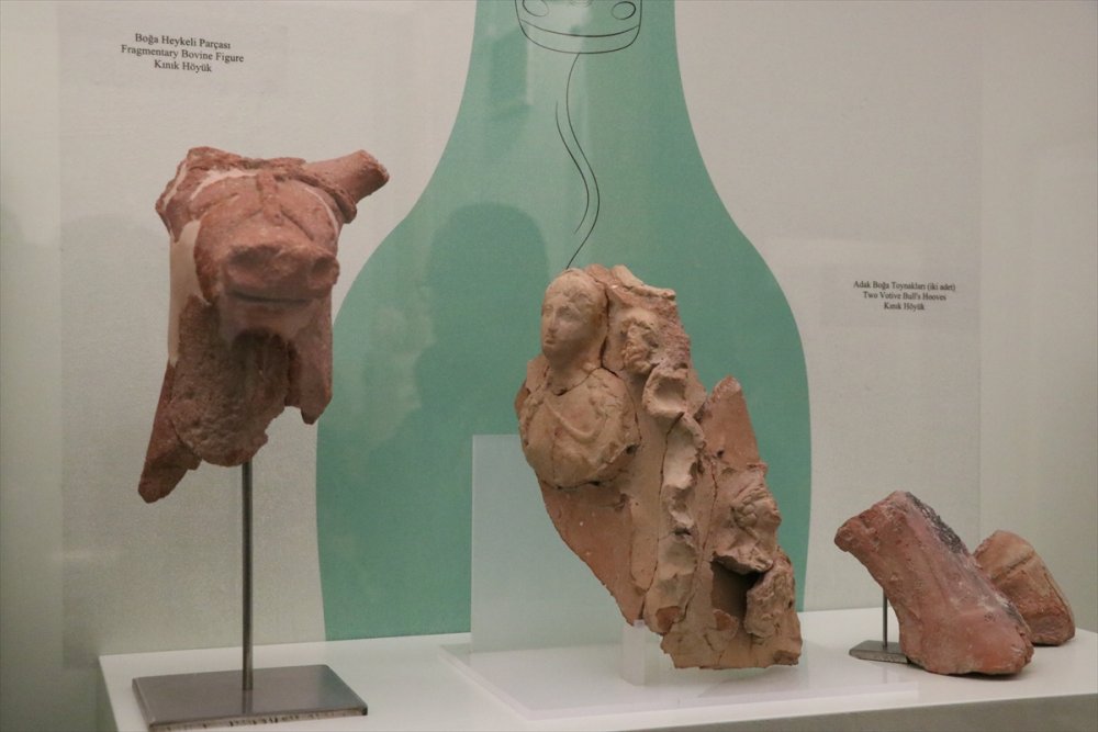 Niğde'de 4 Höyükten Çıkarılan Tarihi Eserler Müzede Sergilenmeye Başlandı