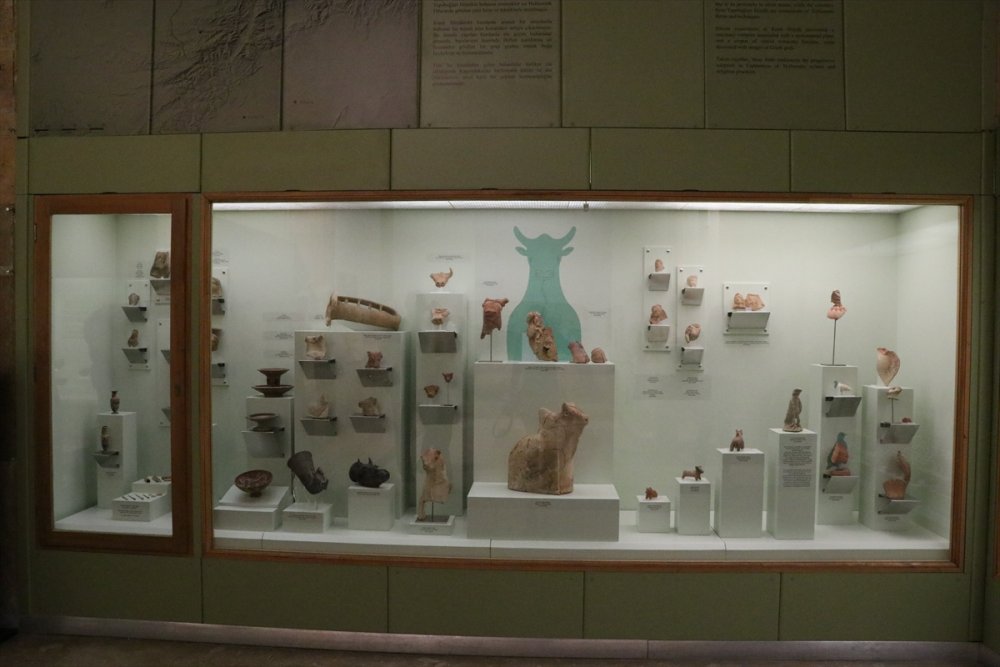 Niğde'de 4 Höyükten Çıkarılan Tarihi Eserler Müzede Sergilenmeye Başlandı