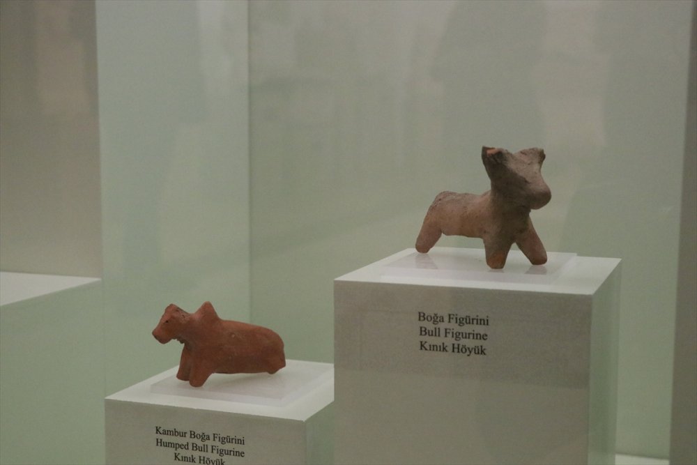 Niğde'de 4 Höyükten Çıkarılan Tarihi Eserler Müzede Sergilenmeye Başlandı