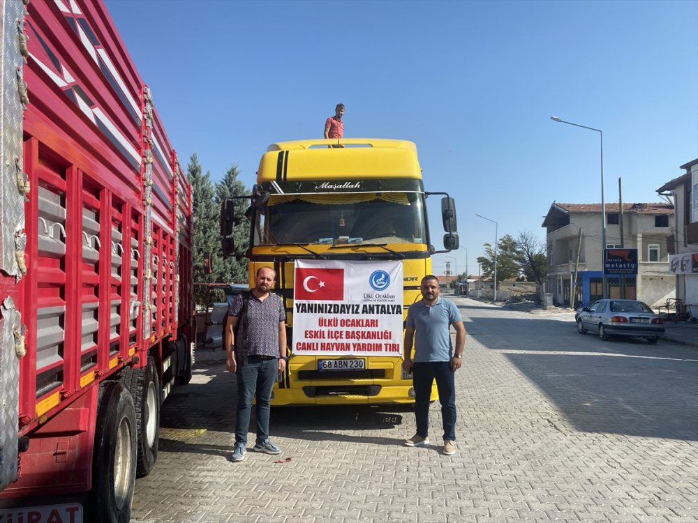 Aksaray'dan Yangın Bölgesine Hayvan Yardımı