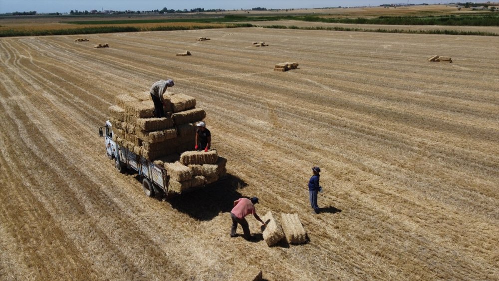 Konya'da Besicilerin Kış Hazırlığı Başladı