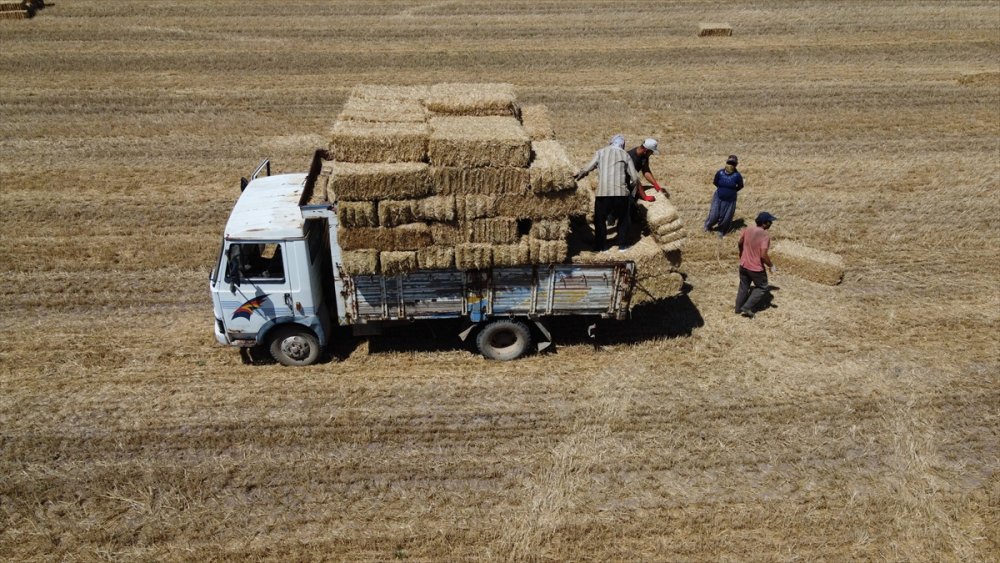 Konya'da Besicilerin Kış Hazırlığı Başladı