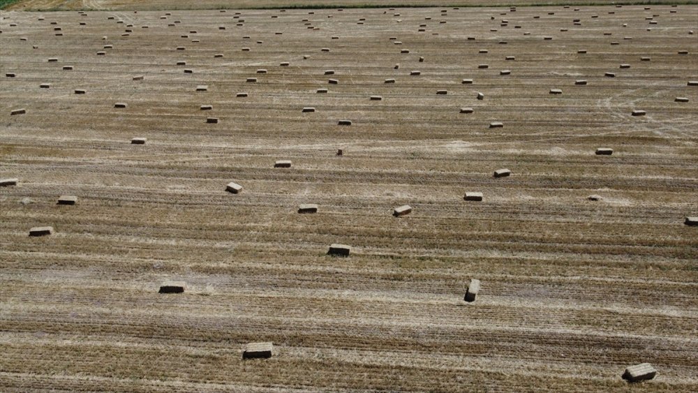 Konya'da Besicilerin Kış Hazırlığı Başladı
