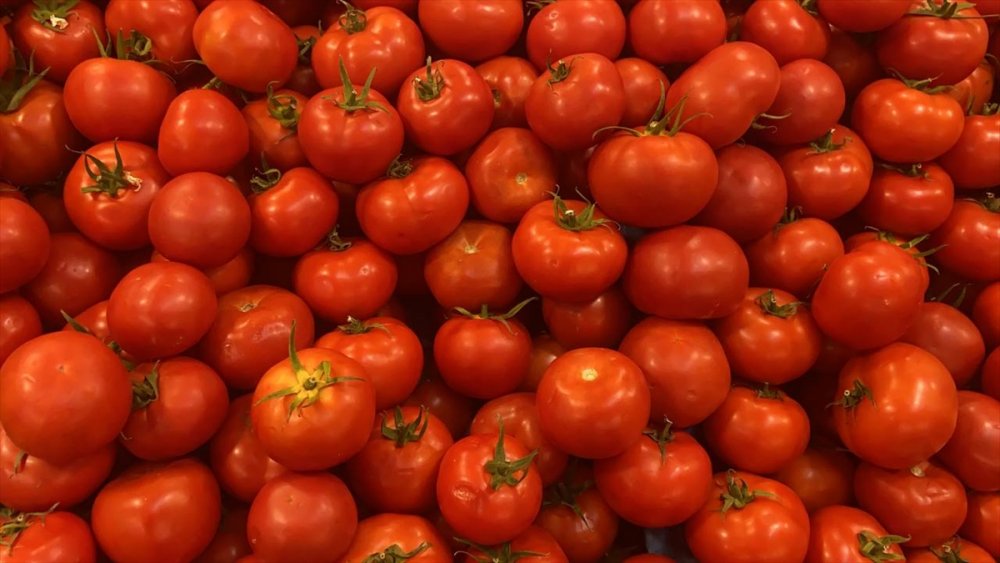 Türkiye'nin 7 Aylık Yaş Meyve Sebze İhracatını 5 Ürün Sırtladı