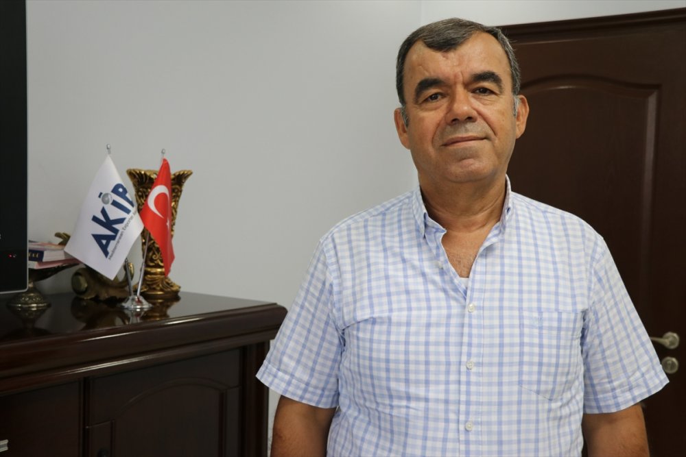 Türkiye'nin 7 Aylık Yaş Meyve Sebze İhracatını 5 Ürün Sırtladı