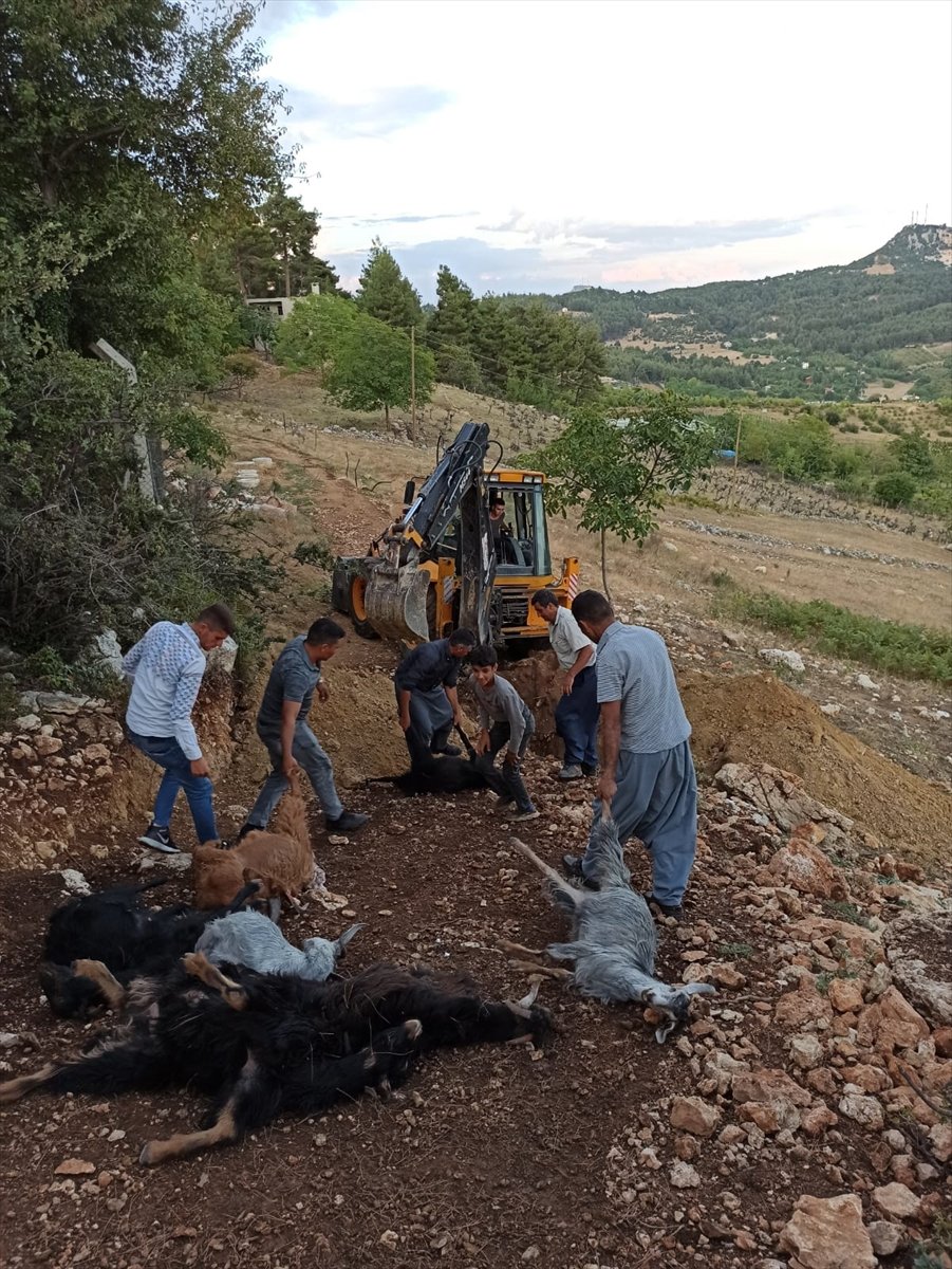 Mersin'de Yıldırım Düşmesi Sonucu 30 Küçükbaş Telef Oldu