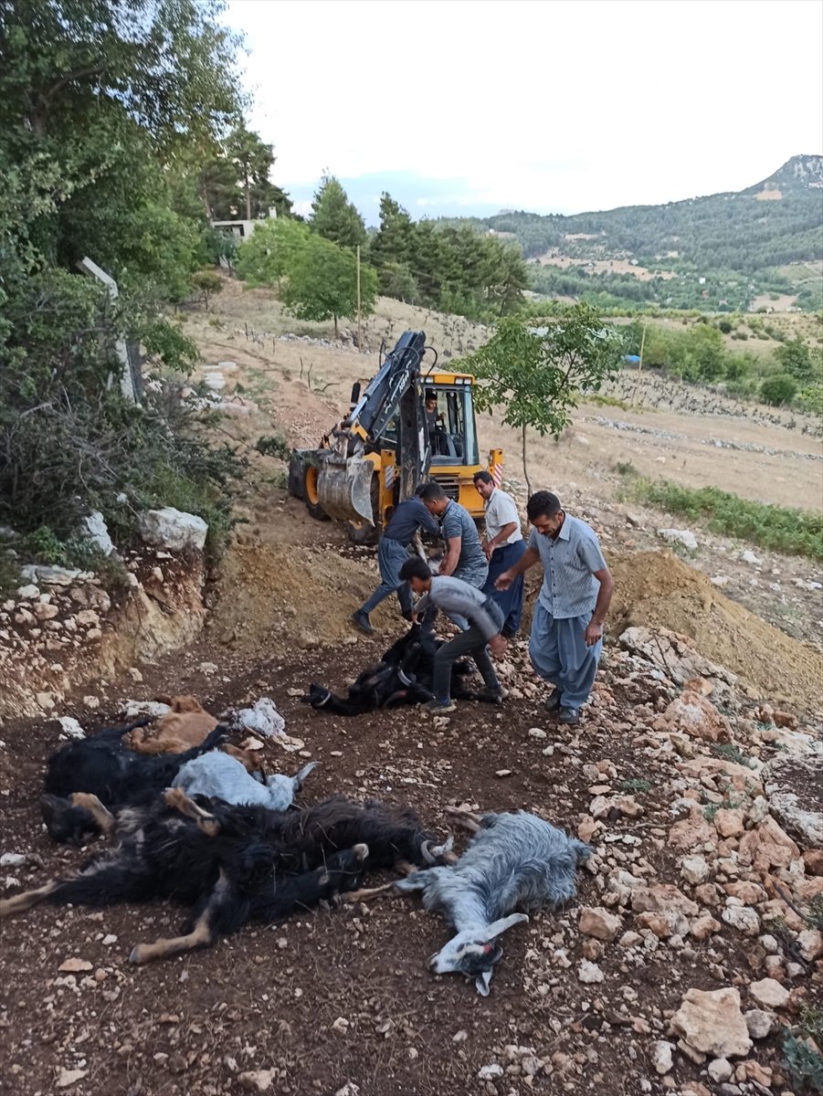 Mersin'de Yıldırım Düşmesi Sonucu 30 Küçükbaş Telef Oldu