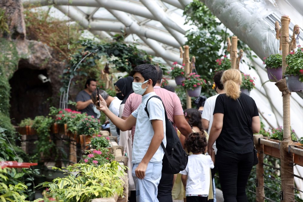 Konya'da Kelebeklerin Rengarenk Dünyası