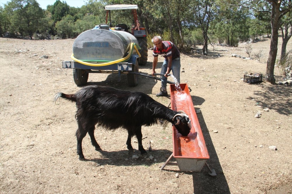 Konya'da Besicilerin Taşıma Su Telaşı