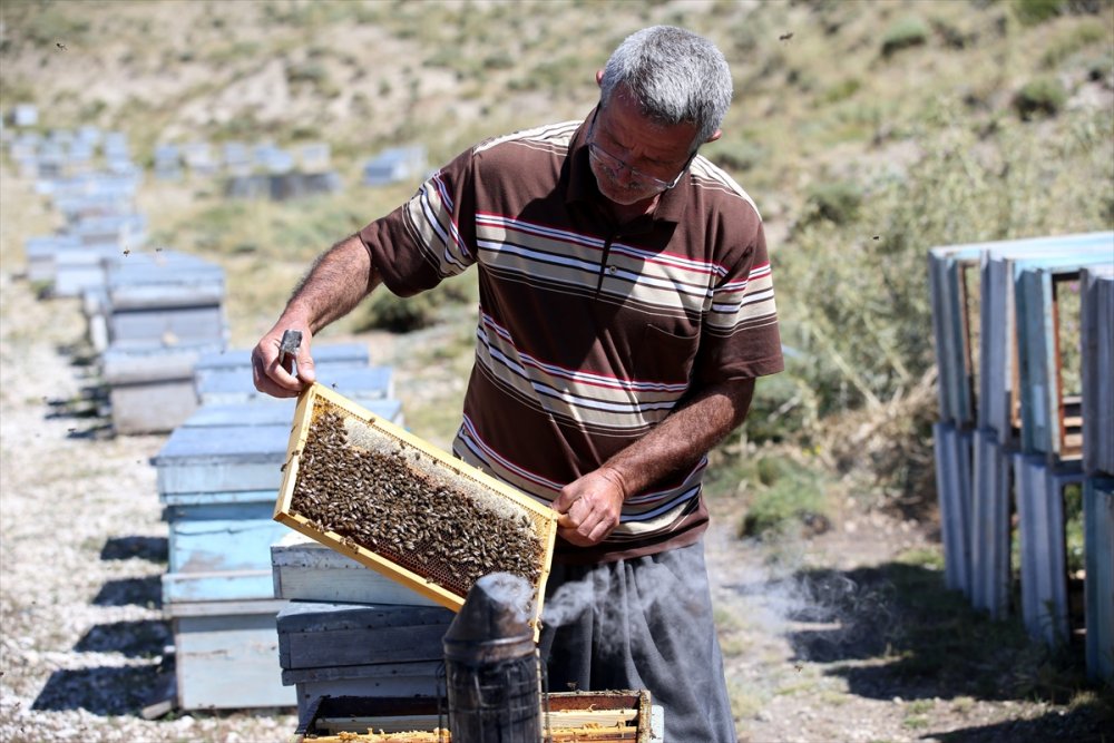 Kaliteli Bal İçin Arılarıyla 30 Yıldır Şehir Şehir Geziyor