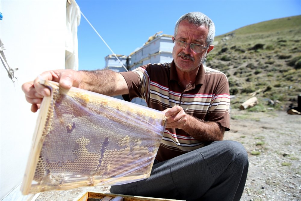 Kaliteli Bal İçin Arılarıyla 30 Yıldır Şehir Şehir Geziyor