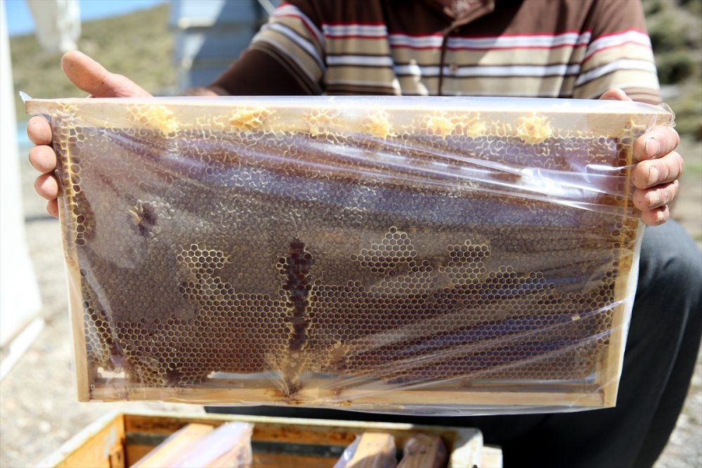 Kaliteli Bal İçin Arılarıyla 30 Yıldır Şehir Şehir Geziyor