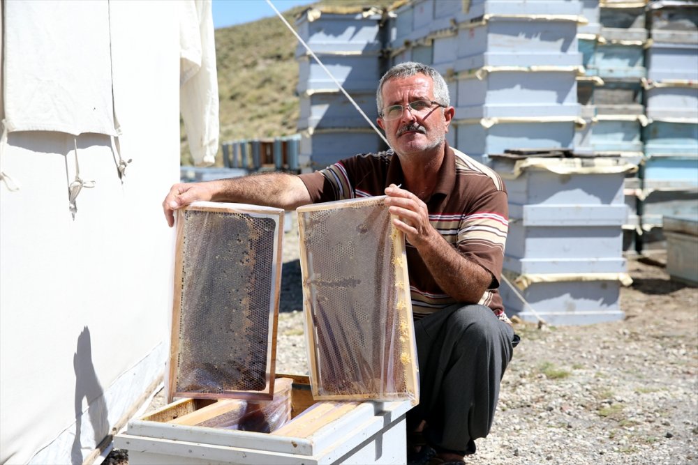 Kaliteli Bal İçin Arılarıyla 30 Yıldır Şehir Şehir Geziyor