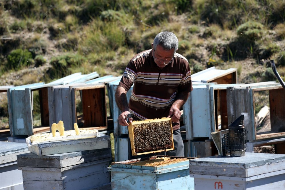 Kaliteli Bal İçin Arılarıyla 30 Yıldır Şehir Şehir Geziyor