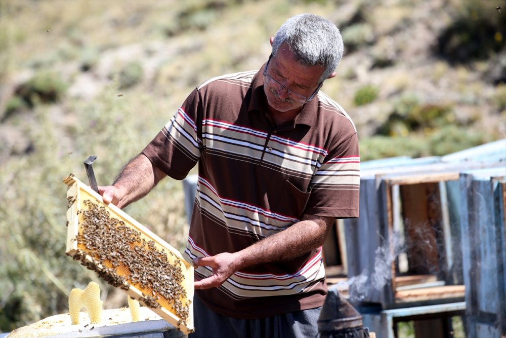 Kaliteli Bal İçin Arılarıyla 30 Yıldır Şehir Şehir Geziyor