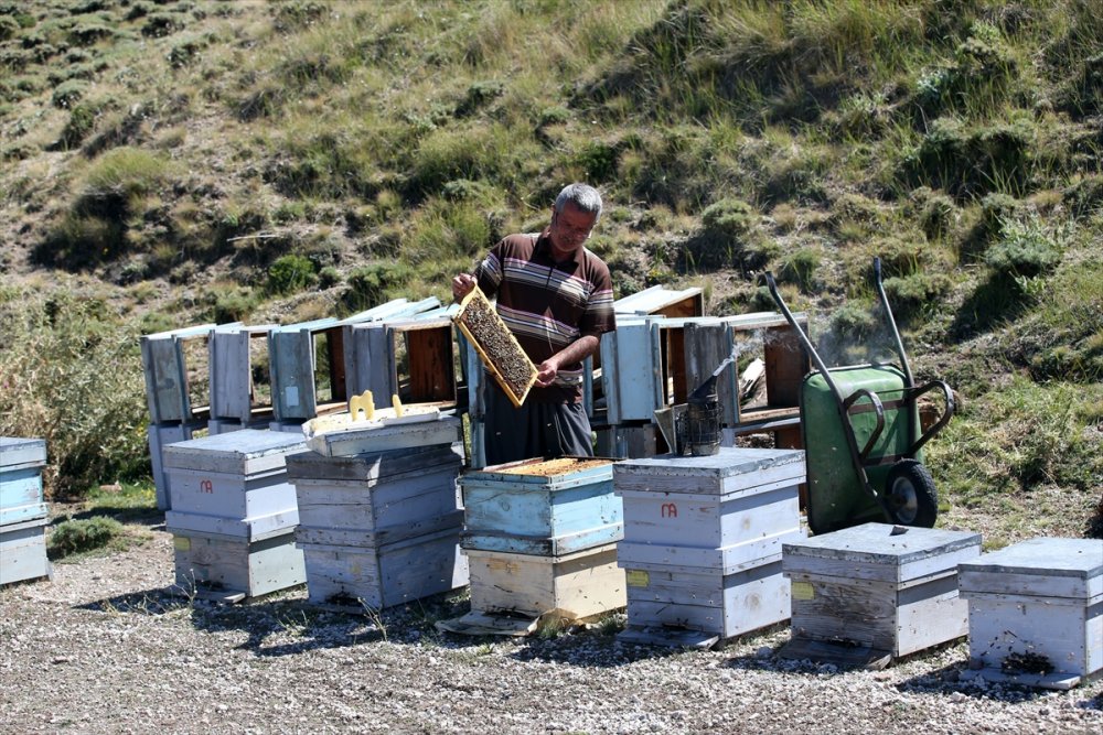 Kaliteli Bal İçin Arılarıyla 30 Yıldır Şehir Şehir Geziyor