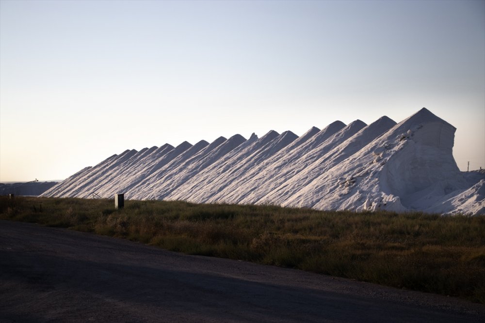 Bir Paletle Başladıkları Tuz İhracatını 70 Ülkede 200 Bin Palete Çıkardılar