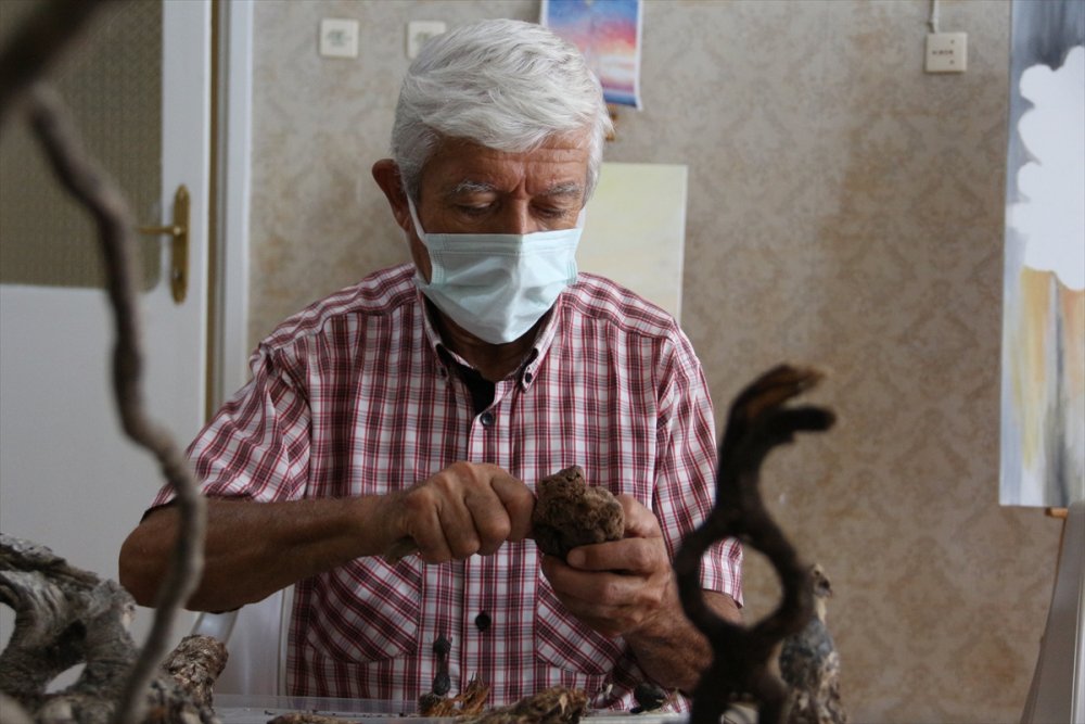 "Bilge Yaşlılar" Tecrübe Paylaşımıyla Yaşam Kalitesini Artırıyor