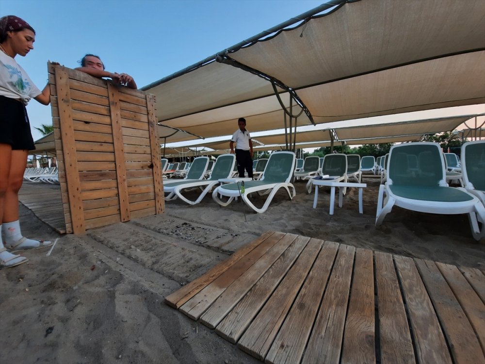 Antalya'da Bir Otelin Ahşap Yürüme Yoluna Sıkışan 60 Caretta Caretta Yavrusu Ölü Bulundu