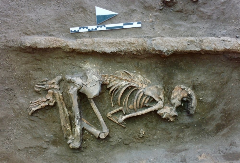 Küllüoba'da 5 Bin Yıllık Küp Mezarlarda Çocuk İskeletleri Bulundu