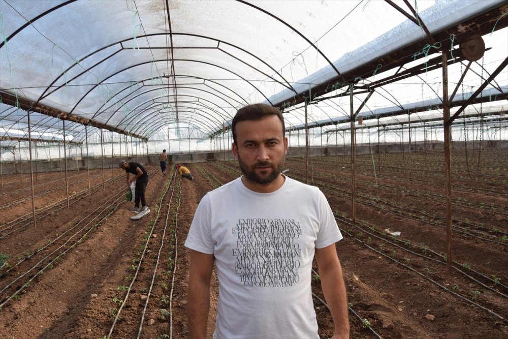 Kumluca'da Örtü Altı Sera Üretim Sezonu Başladı