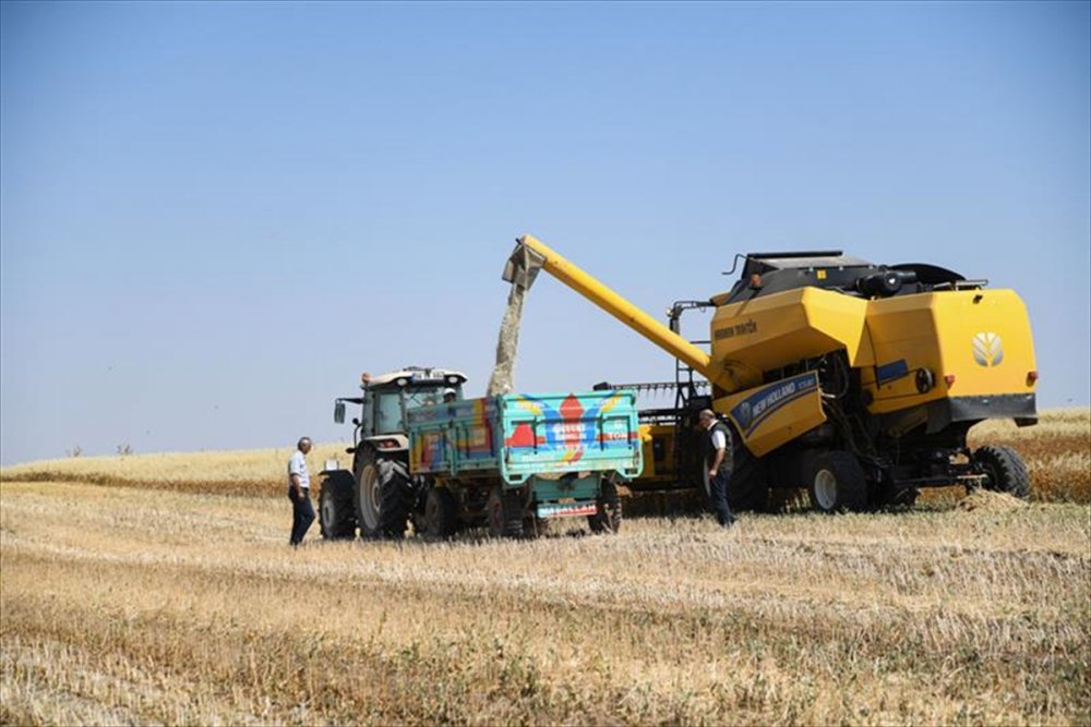 Kayseri'de Aspir Ekimi Sevindirdi