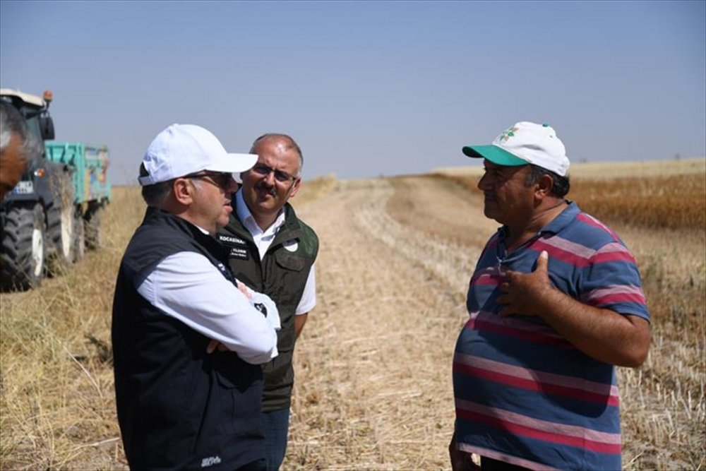 Kayseri'de Aspir Ekimi Sevindirdi