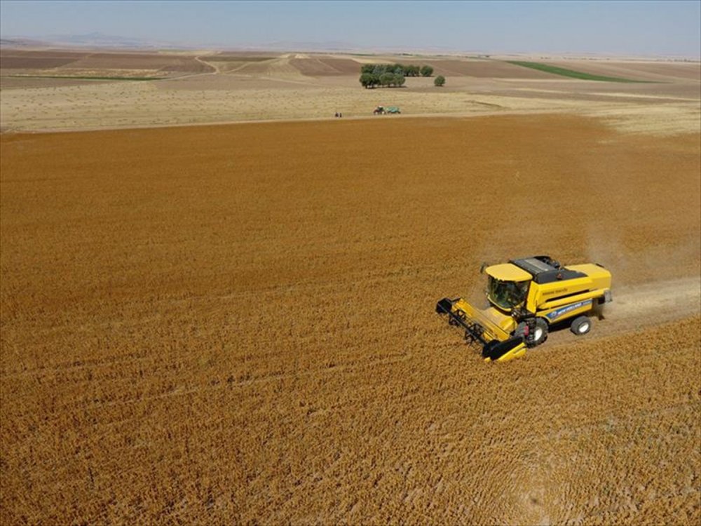 Kayseri'de Aspir Ekimi Sevindirdi