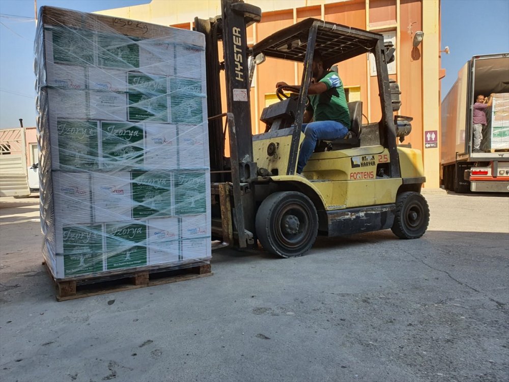 Mut'tan Fransa'ya Zeytinyağı İhracatı