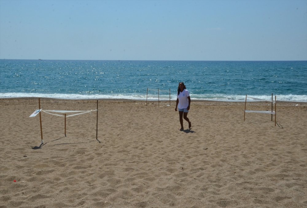 Antalya'da Magandalar Sahilde Canlılara Zarar  Verdiler